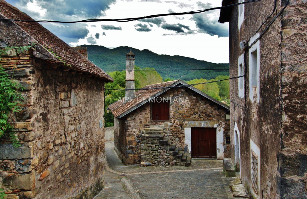 IMG_8515 (Copiar)