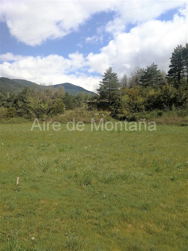 91208407-b839-4d21-8ba6-b29dbd53eb29 05-06-2021