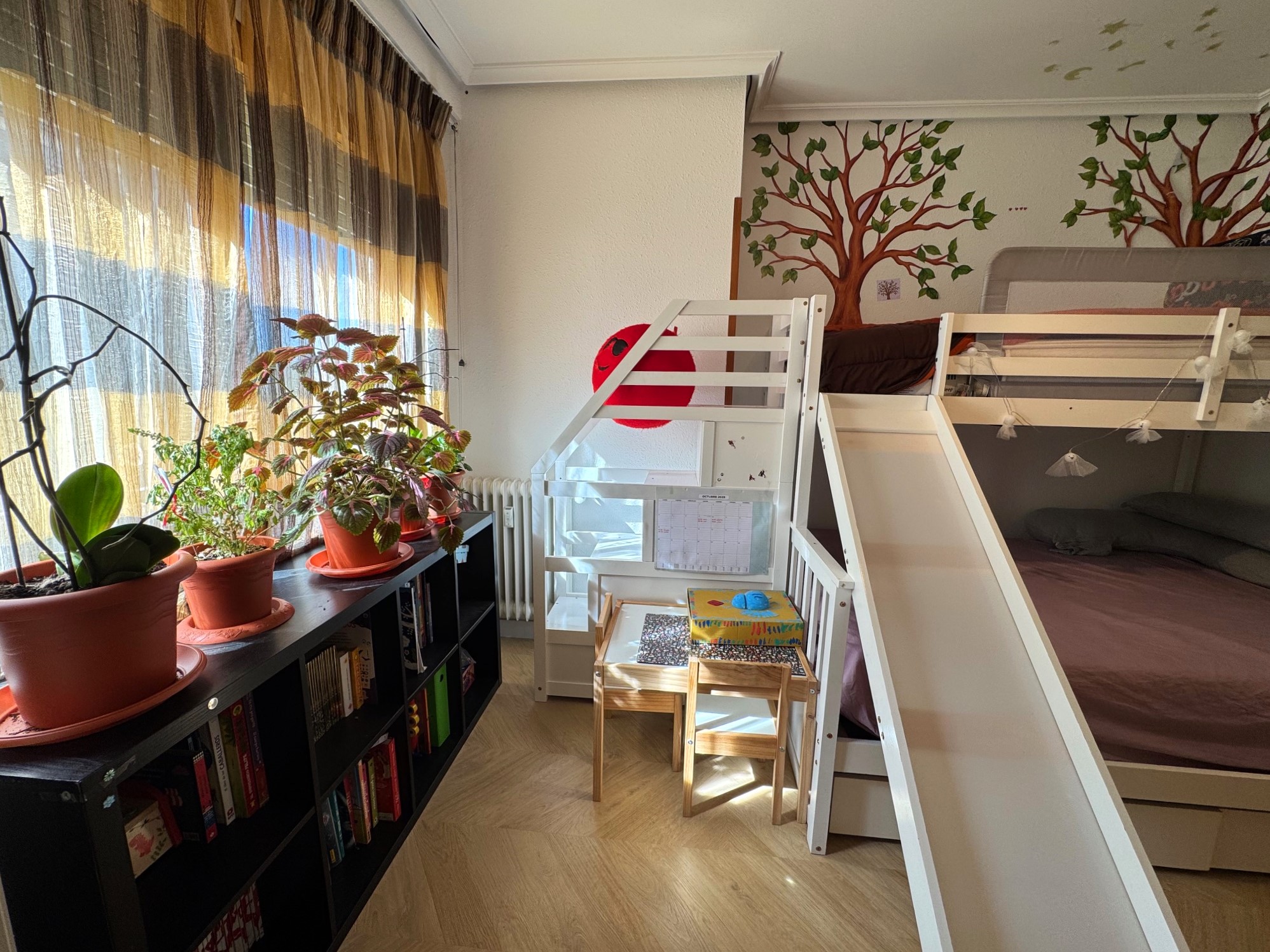 Vivienda céntrica en Jaca