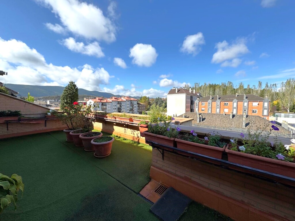 WhatsApp Image 2025-10-14 at 13.15.01 (3)